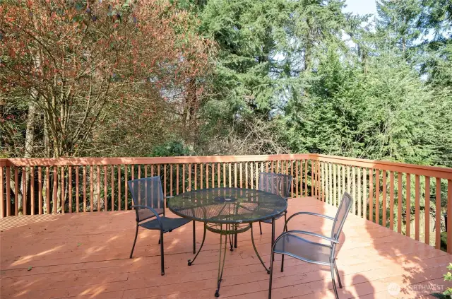 Relax and enjoy your private view from the large backyard deck.