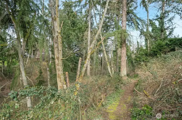 Scenic pathway through the trail system.