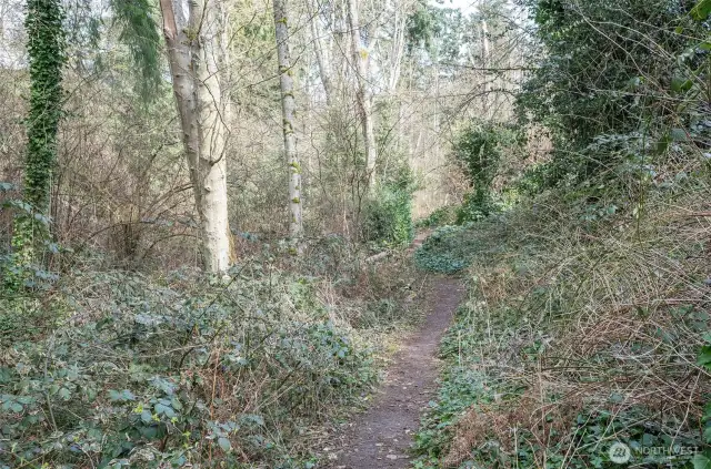 Additional view of the scenic trail system located directly behind the home.