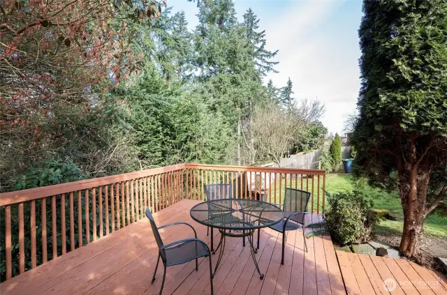 A closer look at the deck, emphasizing its perfect setup for relaxing or entertaining.