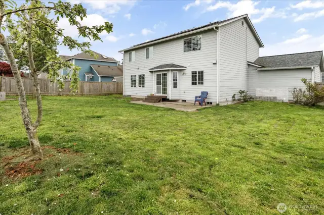 Backyard/Fruit Trees