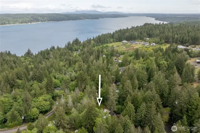 Dreaming of living the PNW lifestyle? This lot is perfectly situated just a few minutes from the private community beach on the Hood Canal.