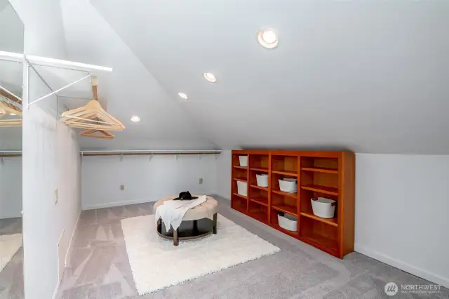 Enjoy this spacious walk-in closet!