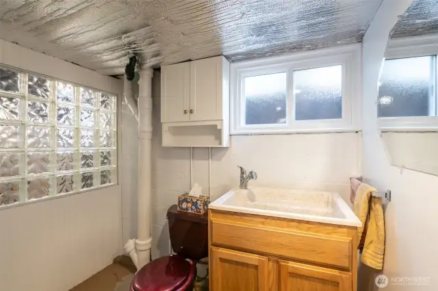 Lower level bathroom