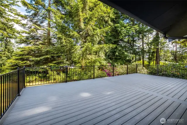 Back Deck