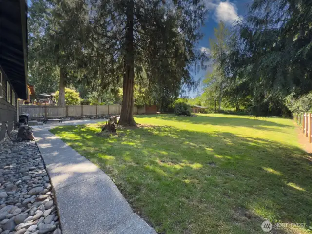 Huge, fully fenced backyard with patio, fire pit area & oversized dog kennel or chicken run.