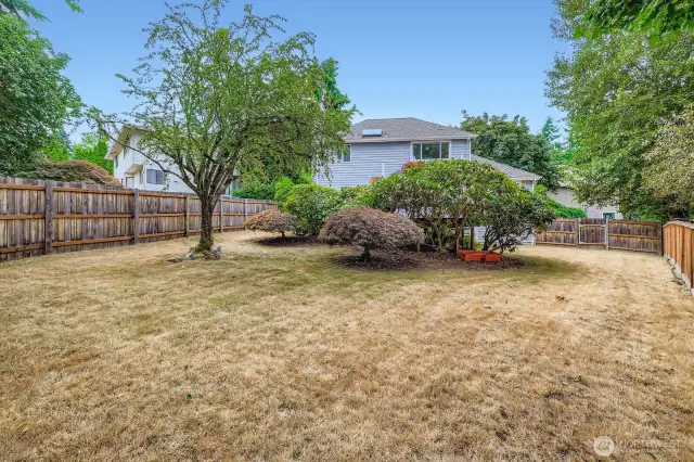 Slightly sloped backyard with established landscaping, shade trees, and ample lawn space. Fully fenced for privacy and play.