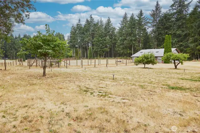 Step out into your backyard from the sliding door and enjoy a peaceful oasis with visual of animals and fruit trees.