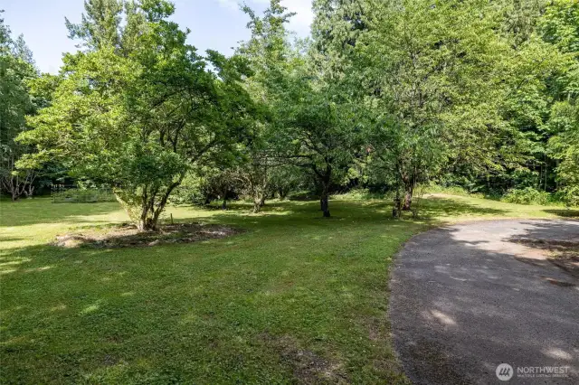 Lots of beautiful fruit and specimen trees speckled throughout the property.