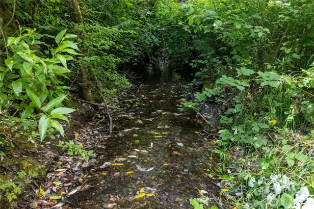 A stream, formerly known as Kinney Creek, flows through the property and sometimes you can find salmon in it!