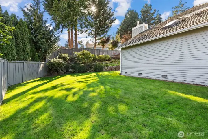 Lots of room in the fully fenced yard!