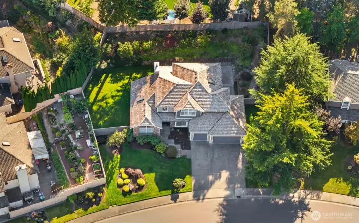 This is a 10,000 sq ft yard!