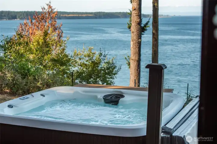 Hot tub with view of Straits & marine life