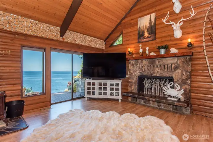 Wood stove and fireplace