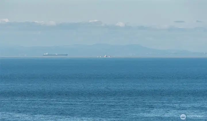 Cruise ships, Dungeness Spit, & Victoria
