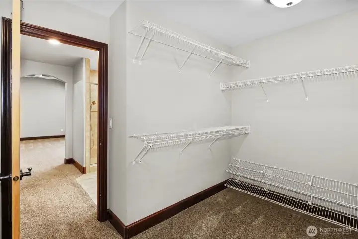 Walk-in closet - turn around and there's lots more space