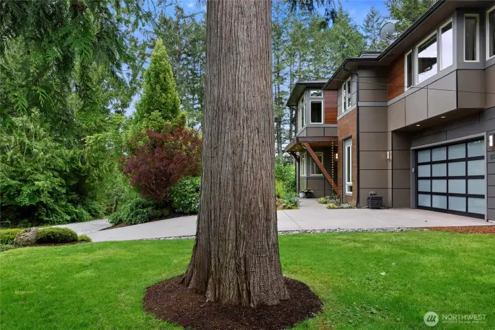 The property has lovely forested and garden views from every room.