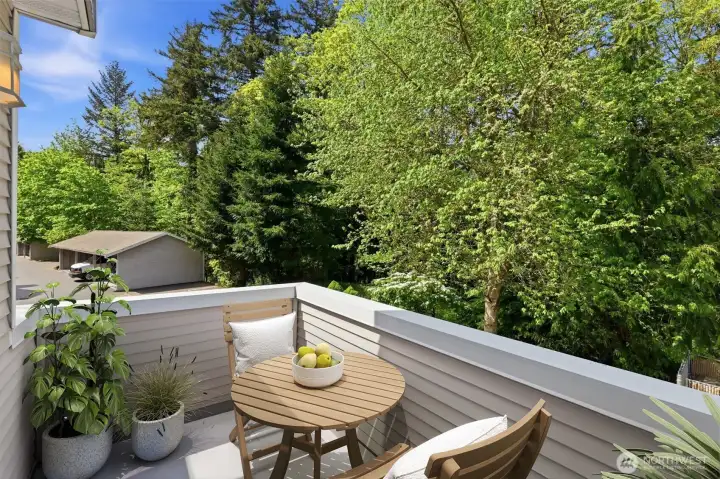 Deck off of living room with storage (virtually staged)