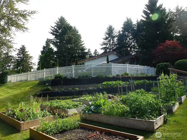Community Garden Community Garden