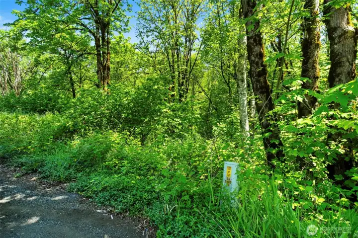 Acreage