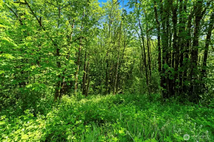 Acreage