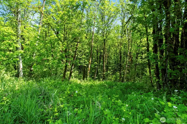 Acreage