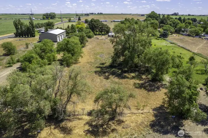 Little sweat equity, this pasture could be brought back to life! Handline irrigation lines come with property
