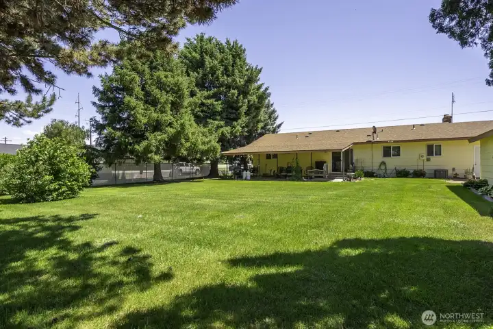 Shade trees in backyard plus covered back patio