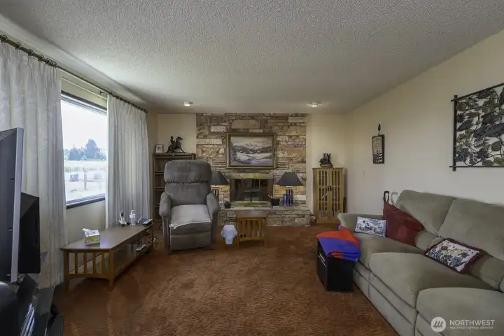 Fireplace in main living room