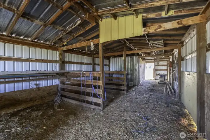 Cows, horses, goats!