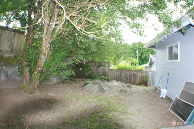 South portion of back yard