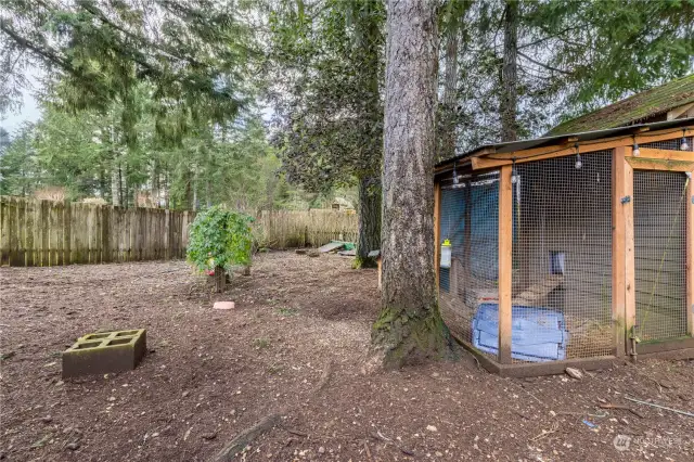 Chicken Coop