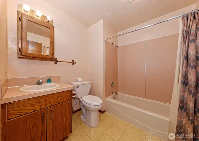 Hall bathroom