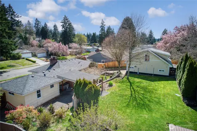 Ariel view of backyard.