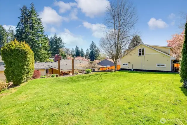 Backyard from top tier.