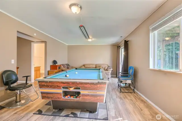 Lower Family Room