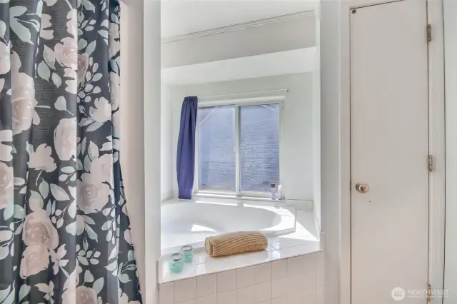 Master bathroom shower and soaking tub