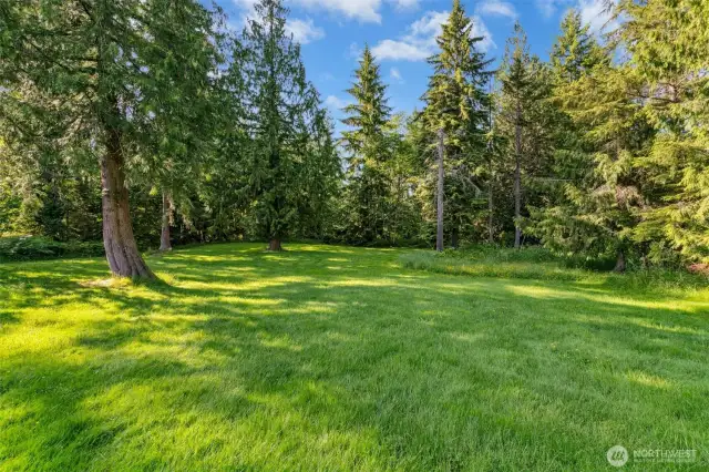 Verdant wooded areas beyond