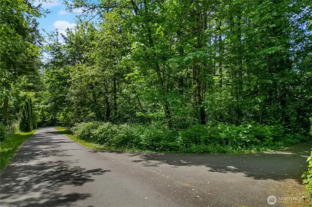 View of second driveway entrance. Driveway is on the right.