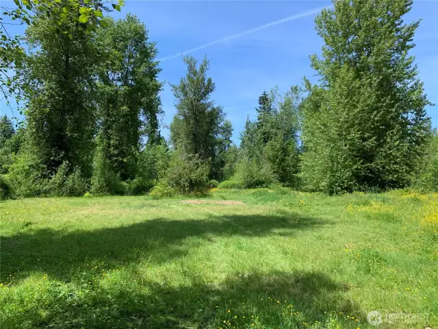 Photo is of the additional 5-acre parcel included with the sale.