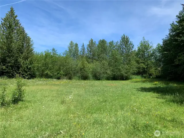 Photo is of the additional 5-acre parcel included with the sale. Access to this lot is from the cul-de-sac, which is off to the right in the photo.