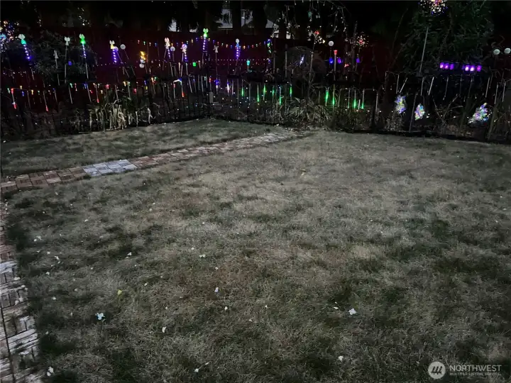 Rear yard lights up at night
