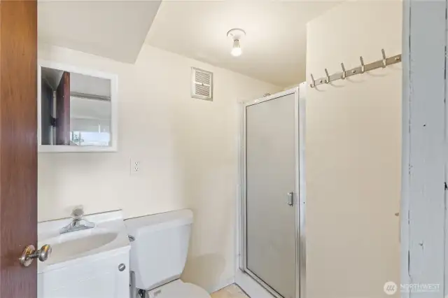 Lower Level Bathroom