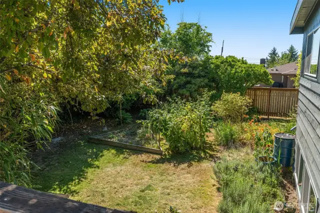 Corner lot with tons of yard space