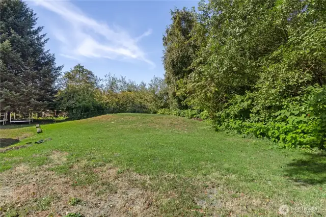 Grassy lawn to the properties personal forest