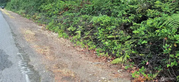 Southwest corner of the lot at the corner of SW 204th Street and Westside Hwy (note small red flag in right hand corner of picture). The lot is 300 feet wide x 300 feet deep (perfect square that is 2.07 acres).  Gorgeous fully wooded lot that provides privacy and natural beauty.