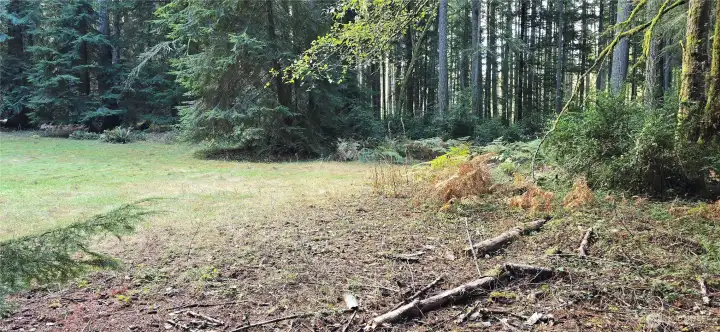 Northeast east corner of lot (which will be marked by an orange stake). The lot is 300 feet wide x 300 feet deep (perfect square that is 2.07 acres). Gorgeous fully wooded lot that provides privacy and natural beauty.