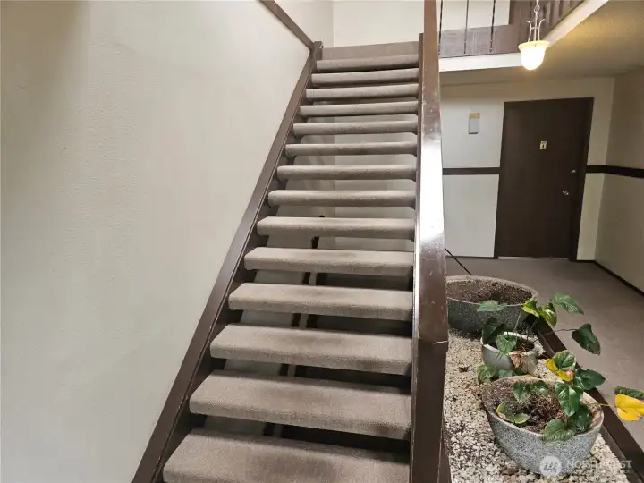 Entry stairs
