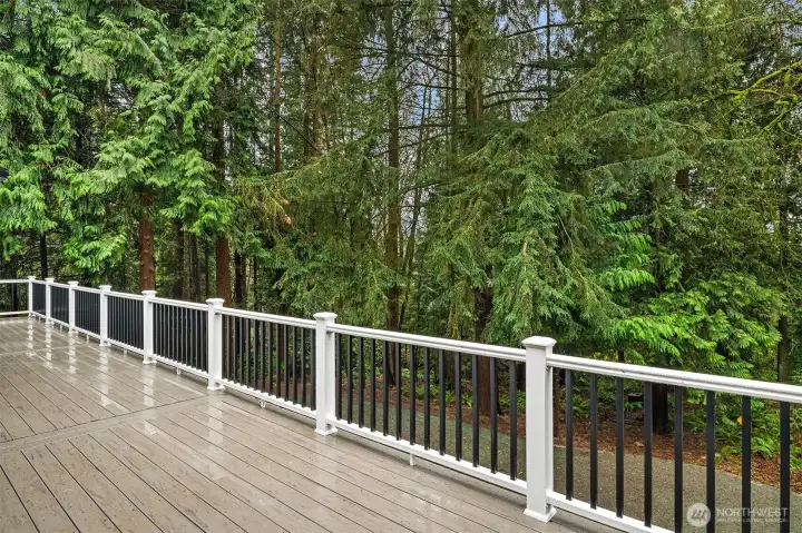 Kitchen and dining open to full-length deck.
