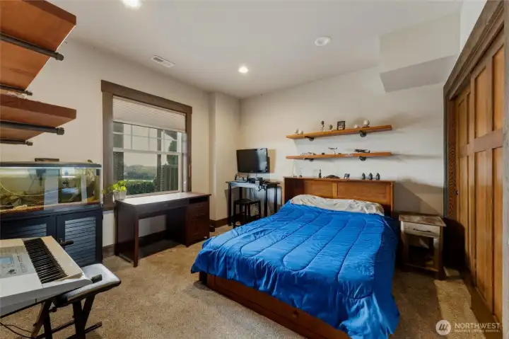 Lower level bedroom